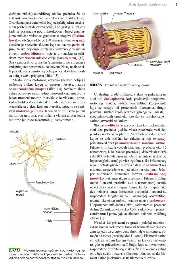 OSNOVE TRENINGA SNAGE I KONDICIONOG TRENINGA 4. izdanje 