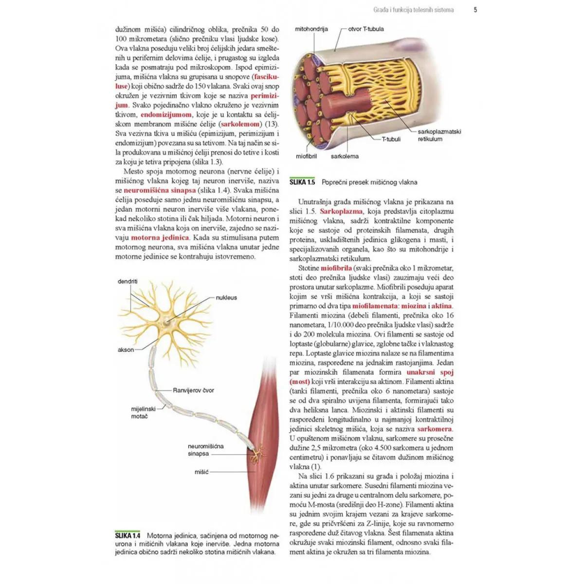 OSNOVE TRENINGA SNAGE I KONDICIONOG TRENINGA 4. izdanje 