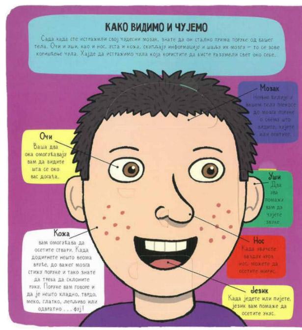 MOJE ČUDESNO TELO Mali istraživači 