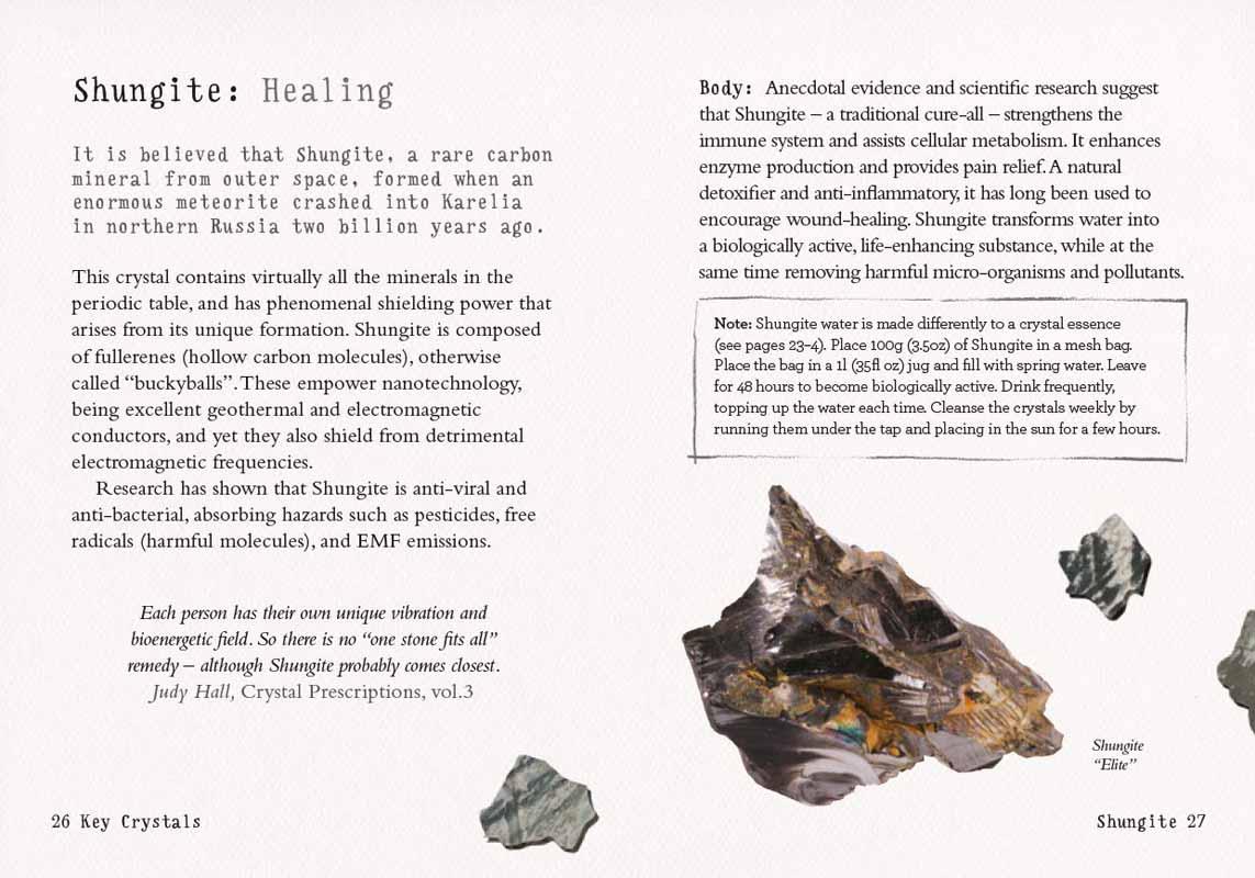 THE LITTLE CRYSTAL KIT 