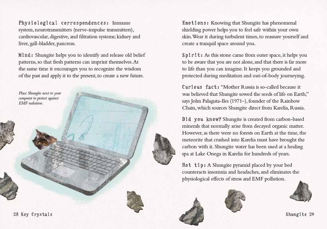 THE LITTLE CRYSTAL KIT 