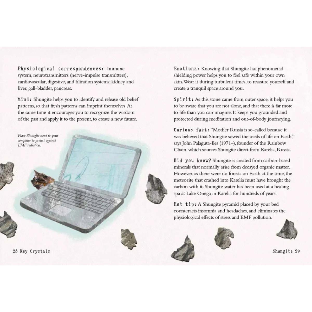 THE LITTLE CRYSTAL KIT 