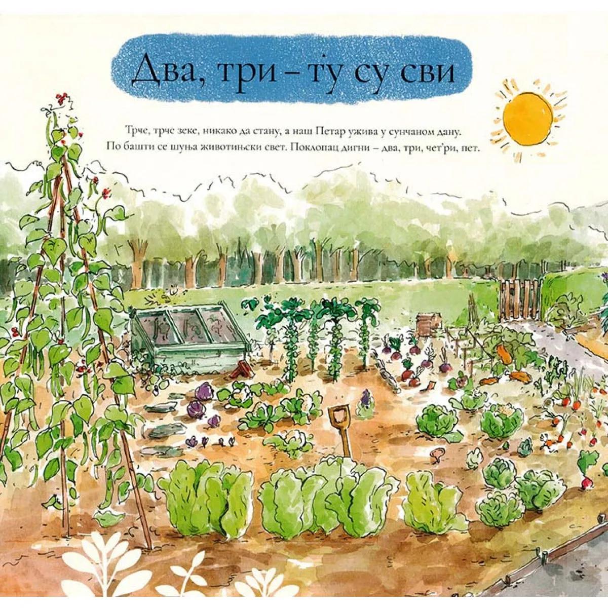 SLIKOVNICA SKRIVALICA Šta vidiš Petre? 