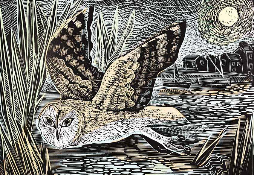 Puzzle ANGELA HARDING Marsh Owl (1000) 