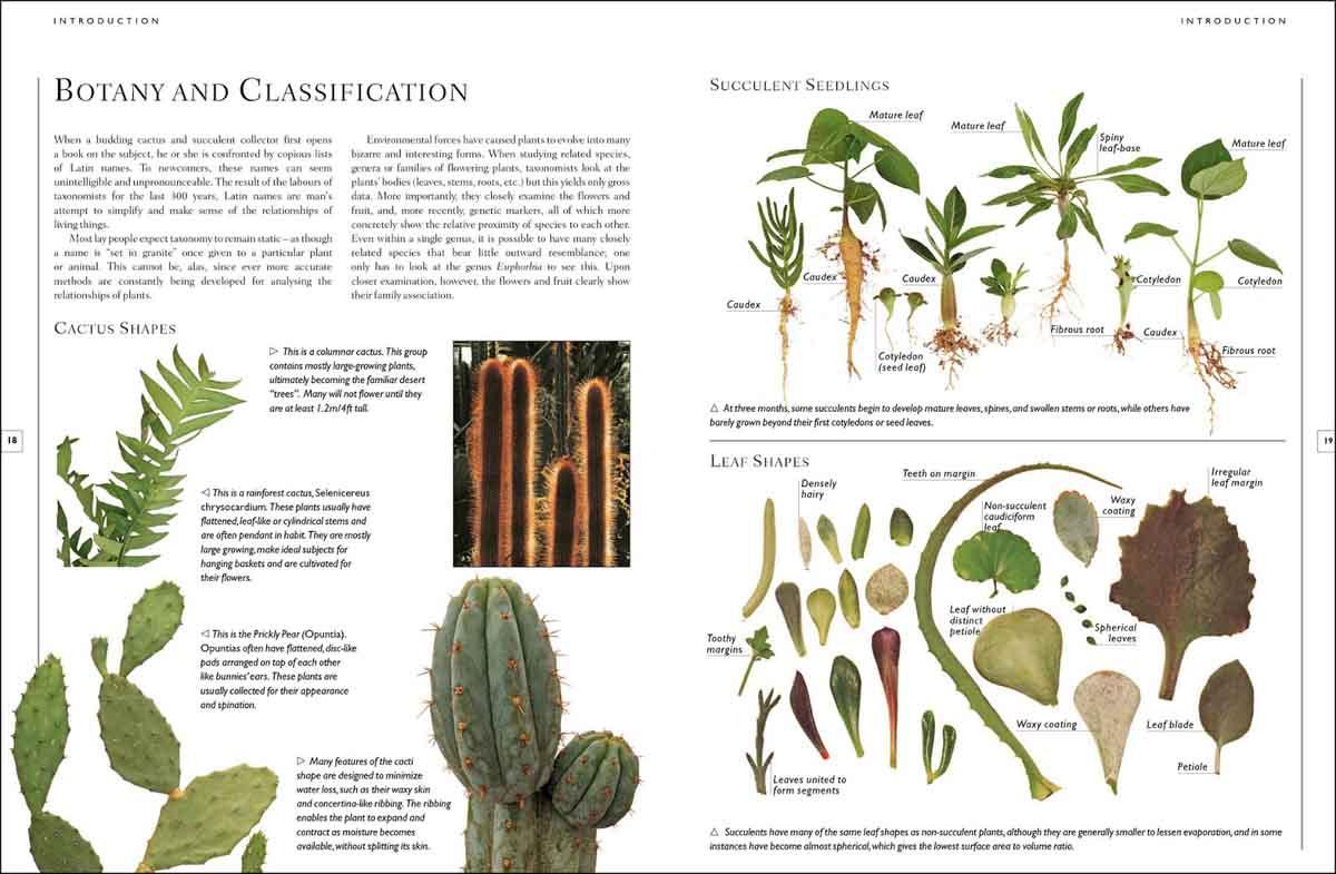 COMPLETE GIUDE TO GROWING CACTI AND SUCCULENTS 