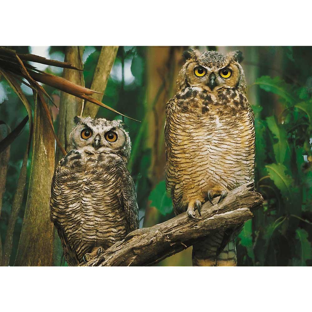 Puzzle 1000 TREFL Owls 
