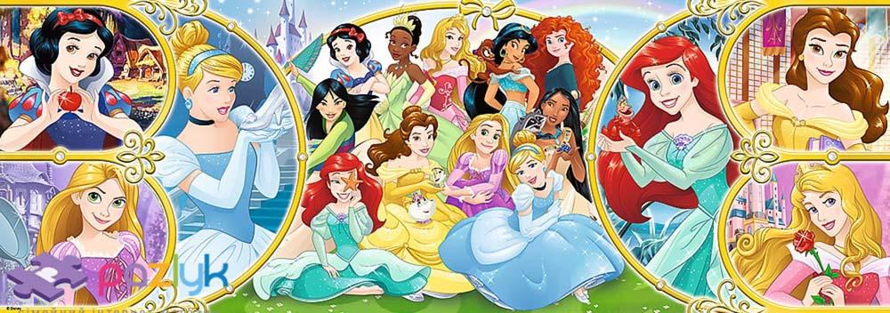 Puzzle DISNEY Return to the world of Princesses 500 