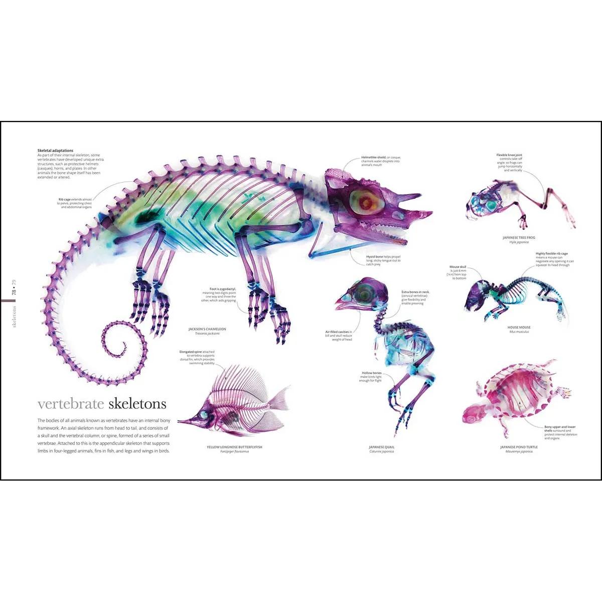 THE SCIENCE OF ANIMALS 