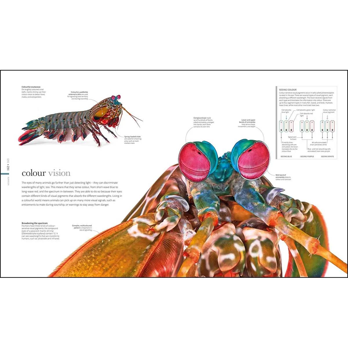 THE SCIENCE OF ANIMALS 