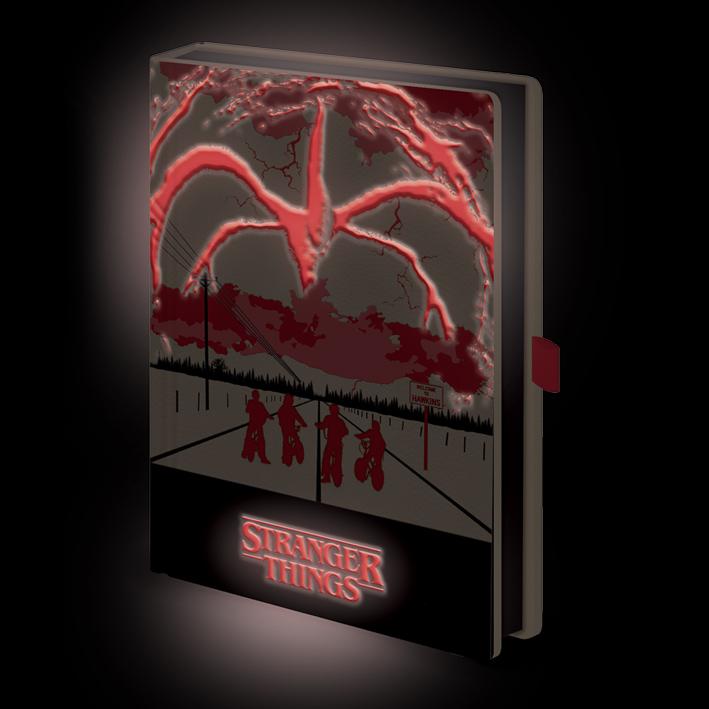 Notes STRANGER THINGS 