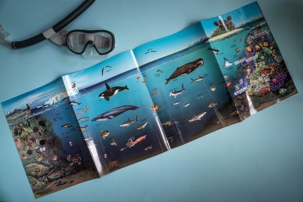 PANORAMA Morske životinje 