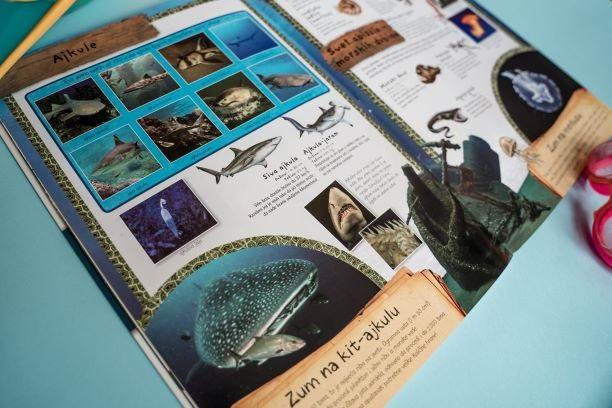 PANORAMA Morske životinje 