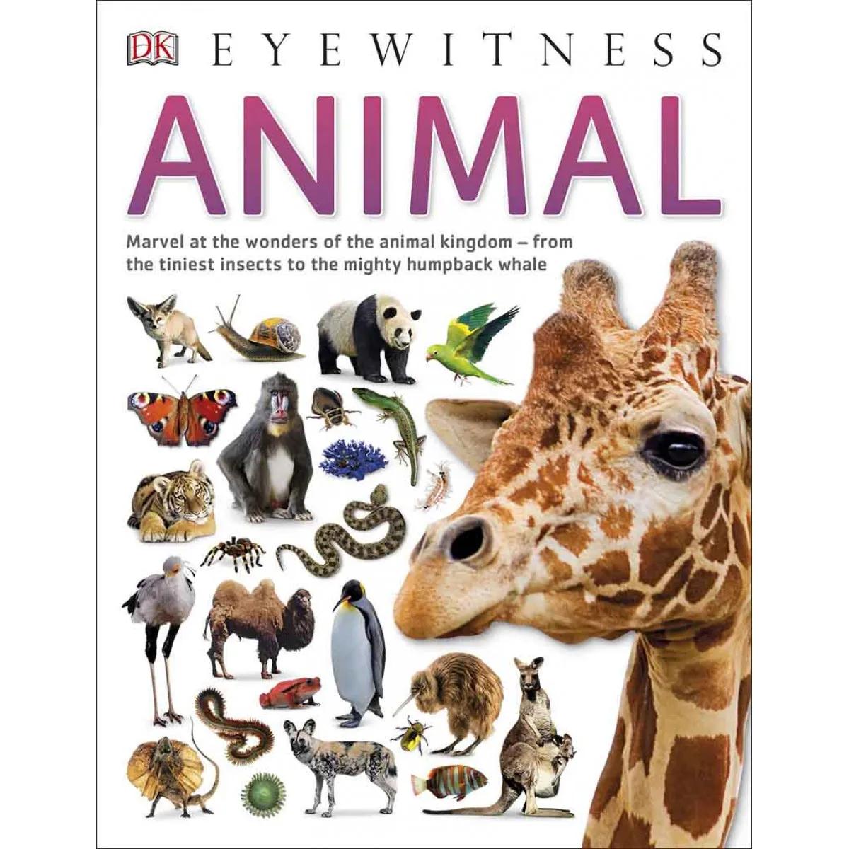 ANIMAL EYEWITNESS 