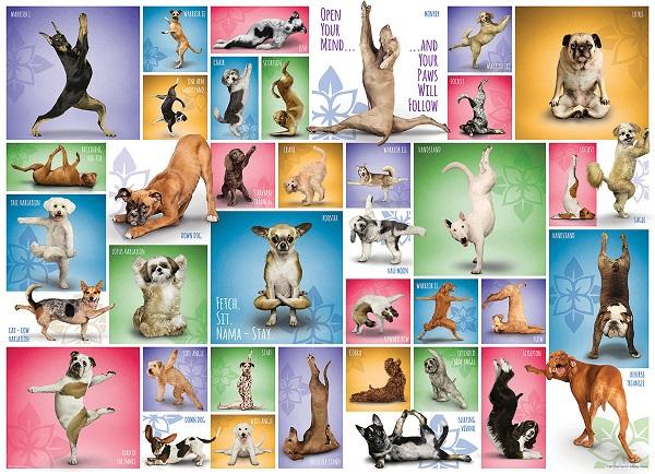 Puzzle YOGA DOGS 1000kom 