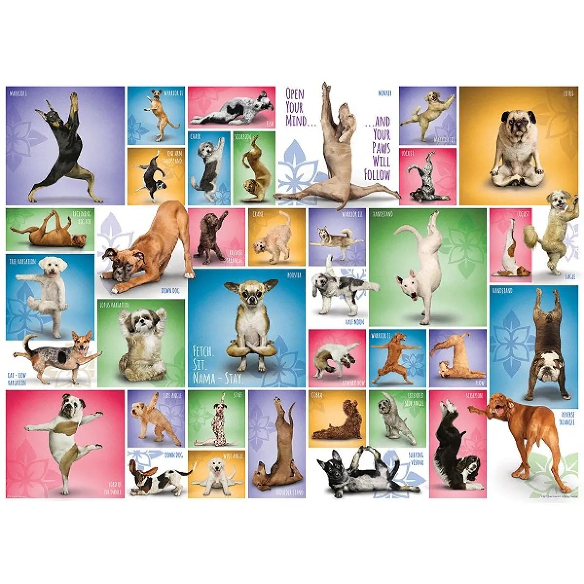 Puzzle YOGA DOGS 1000kom 