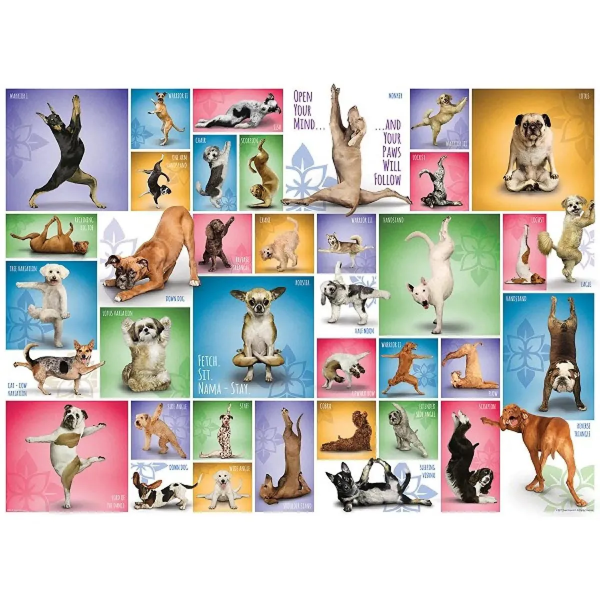 Puzzle YOGA DOGS 1000kom 
