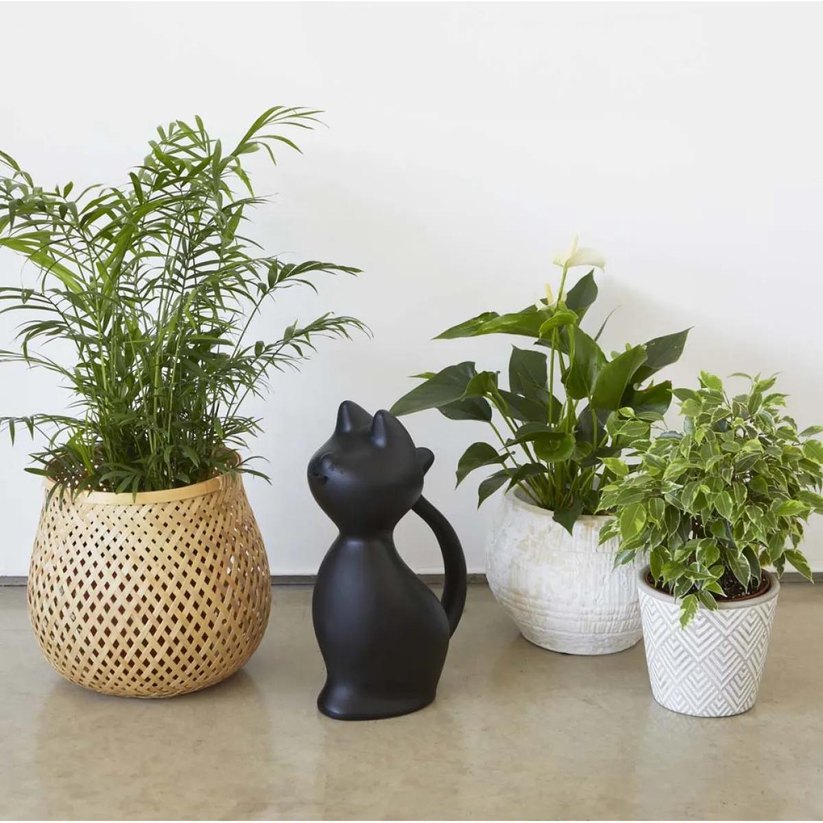 Bokal za zalivanje CRNI 