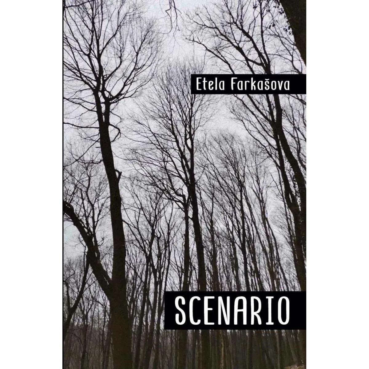 SCENARIO 