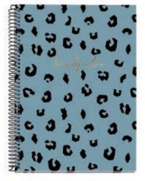 Datumirani planer za 2022. - PLAVI PRINT 