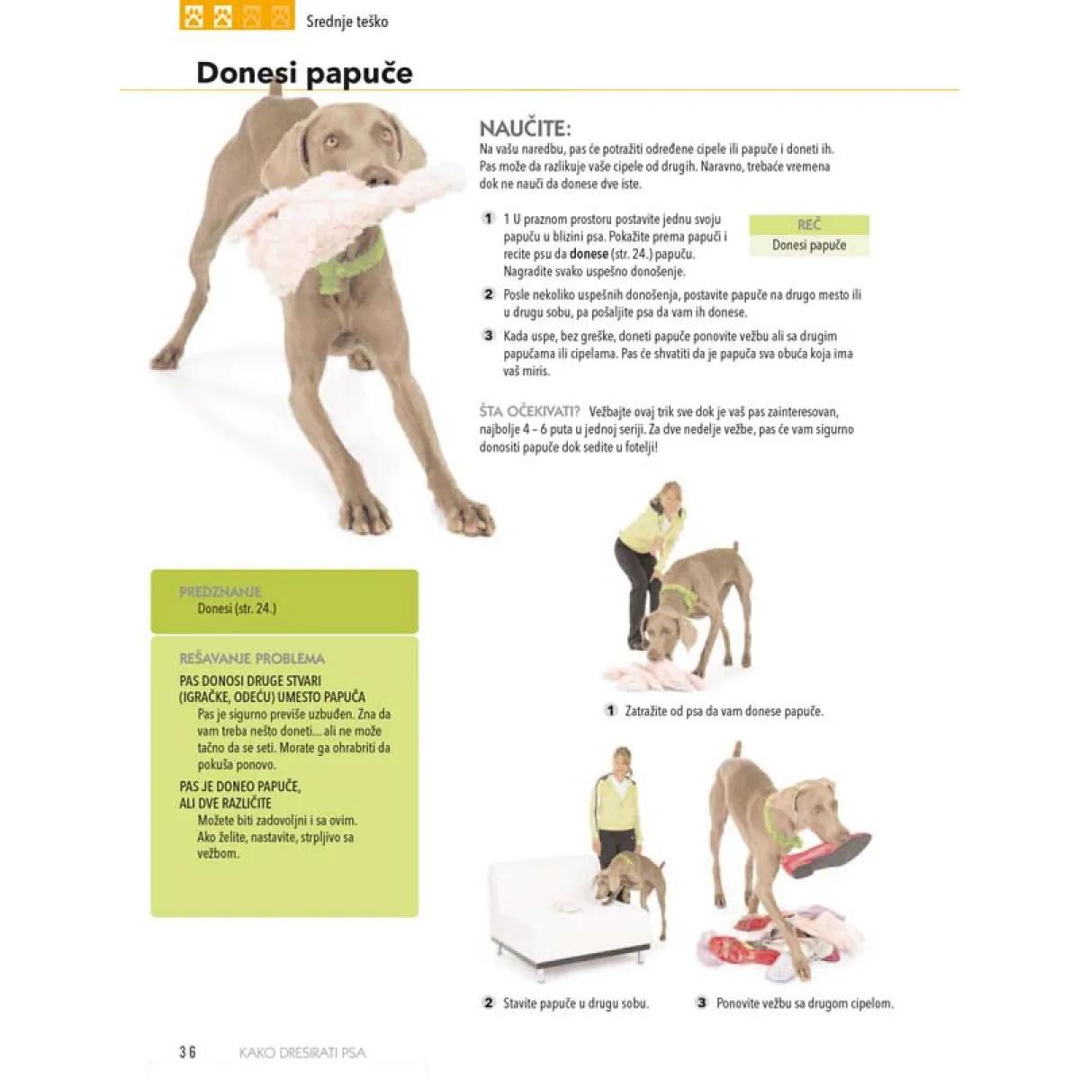 KAKO DRESIRATI PSA 