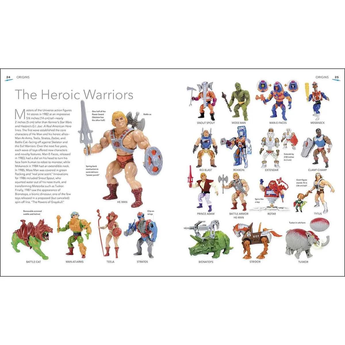 THE MASTERS OF THE UNIVERSE 