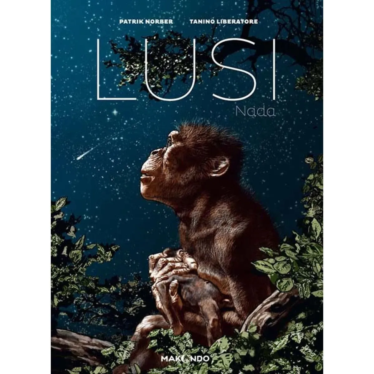 LUSI - NADA 