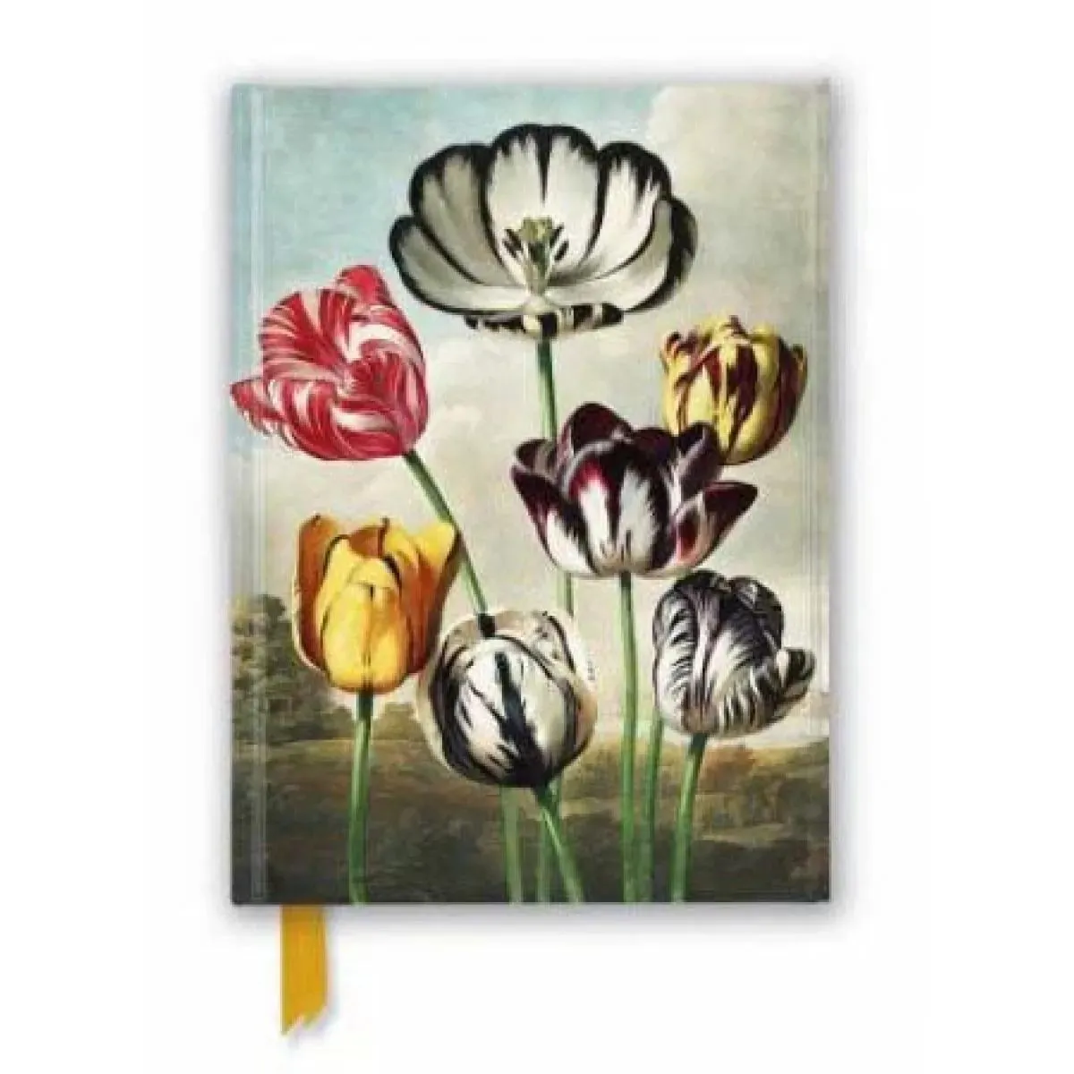 Notes TEMPLE OF FLORA TULIPS 