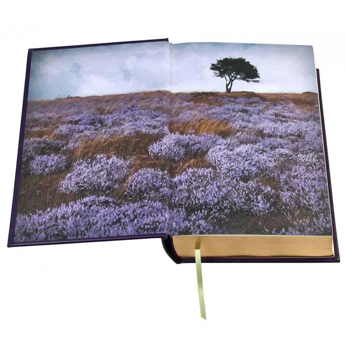 SELECTED WORKS BRONTE SISTERS 