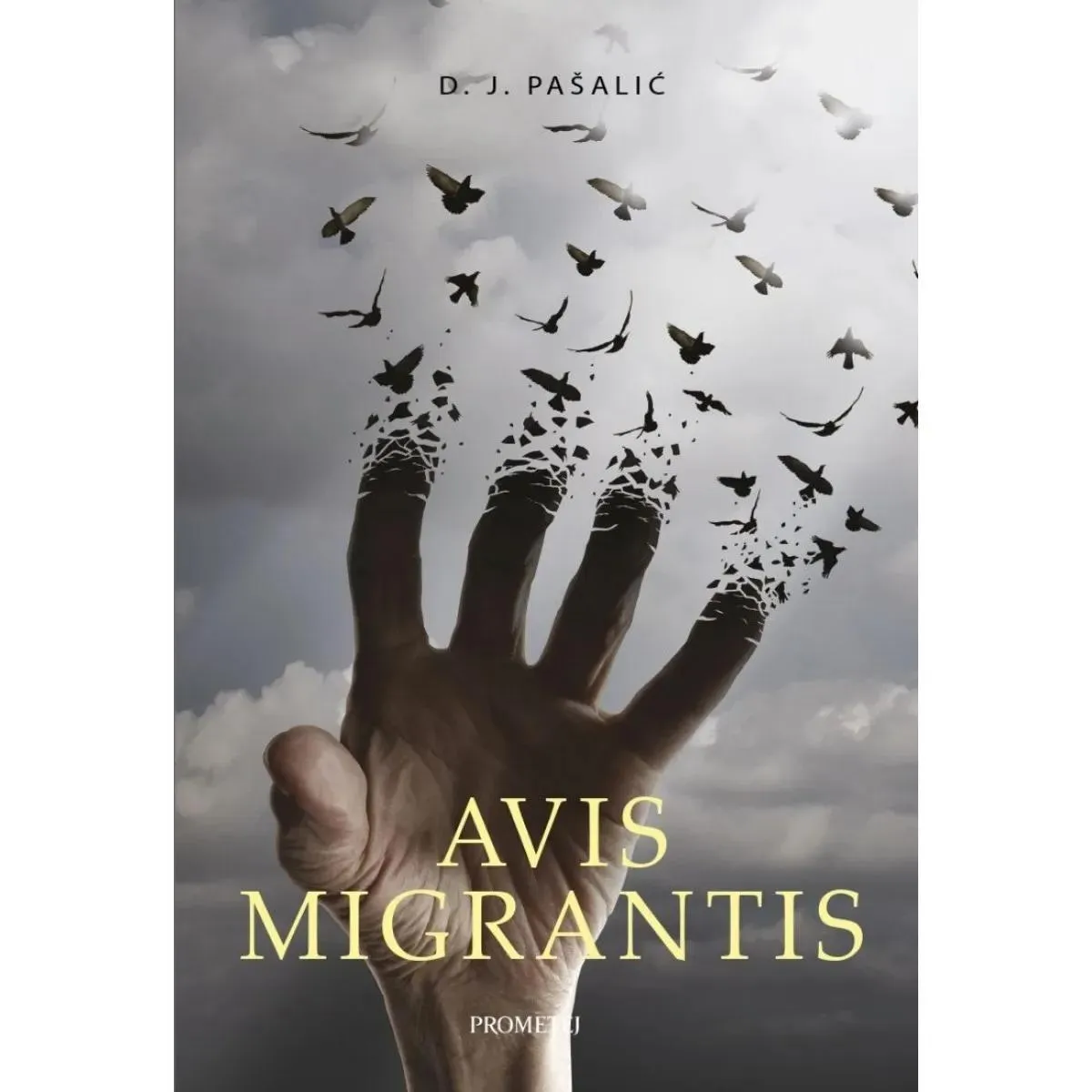AVIS MIGRANTIS 