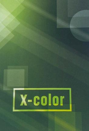 Sveska A5 TP X-COLOR 