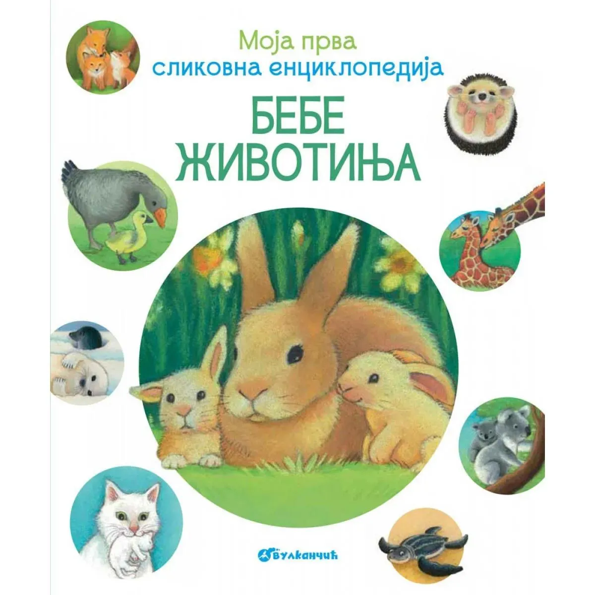 MOJA PRVA SLIKOVNA ENCIKLOPEDIJA Bebe životinja 