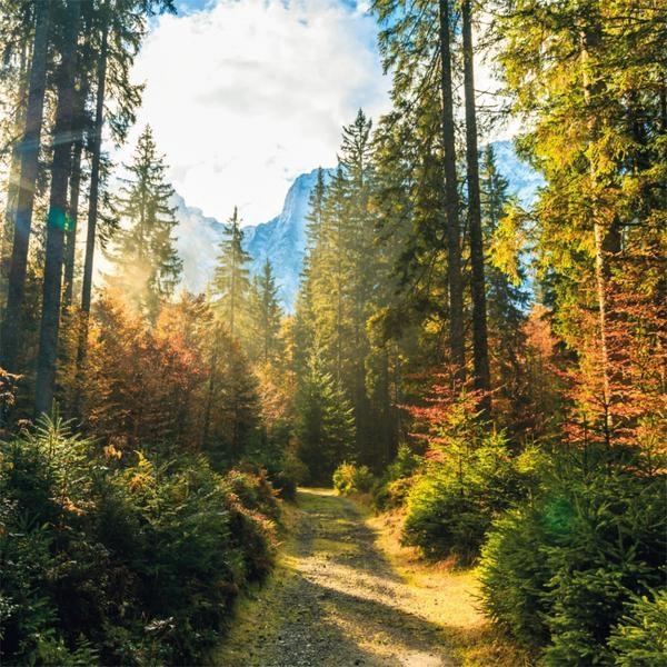 Zidni kalendar za 2023 PUTEVI I ALEJE 