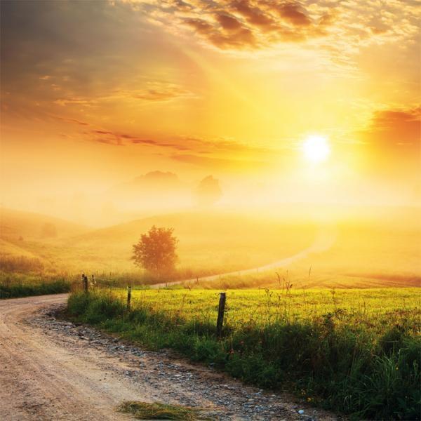 Zidni kalendar za 2023 PUTEVI I ALEJE 