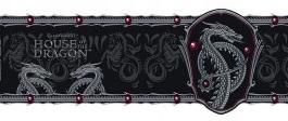 Keramička šolja HOUSE OF THE DRAGON 