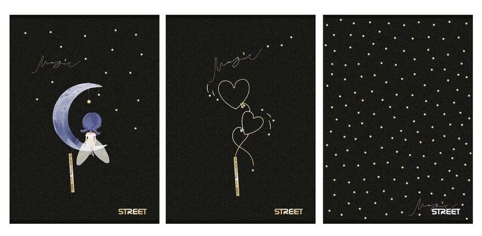 BLACK GOLD SVESKA A4 54L linija margina 