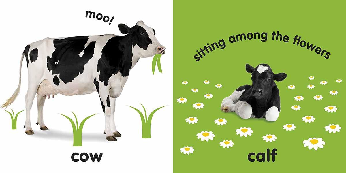 BABY TOUCH AND FEEL FARM ANIMALS 