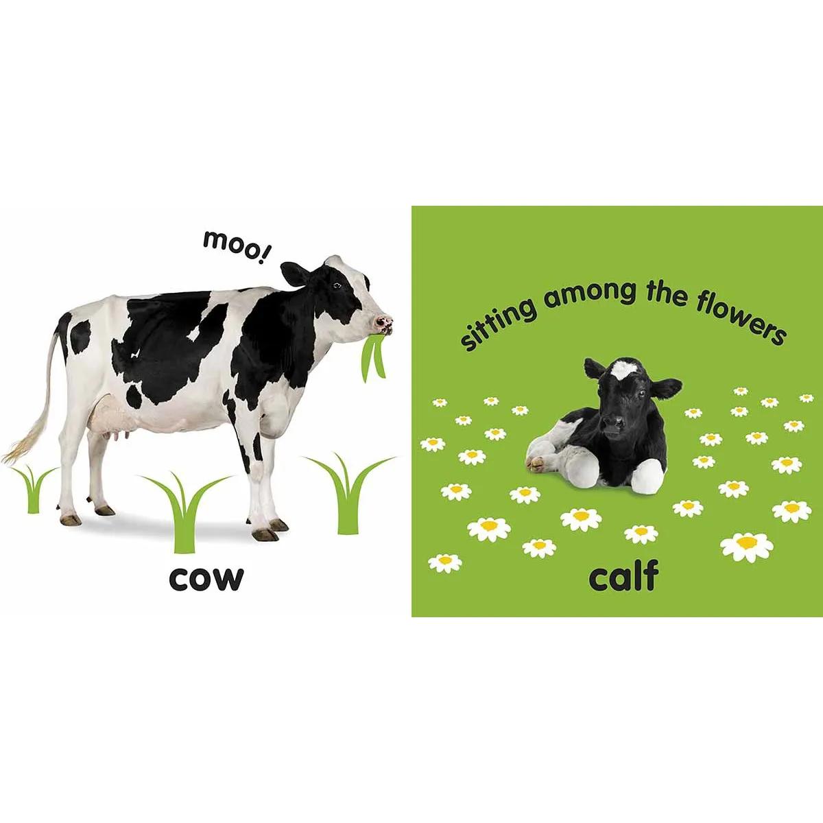 BABY TOUCH AND FEEL FARM ANIMALS 