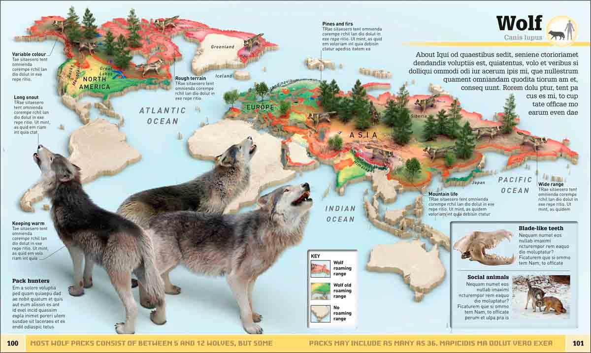 WHATS WHERE ON EARTH ANIMAL ATLAS 