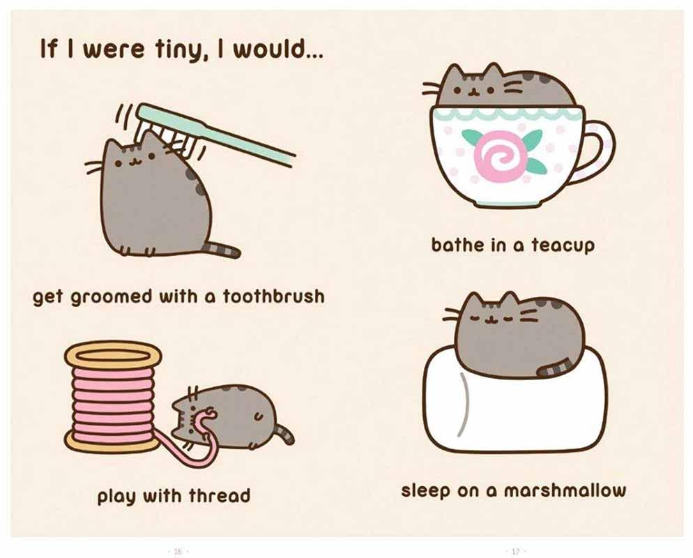 I AM PUSHEEN THE CAT 