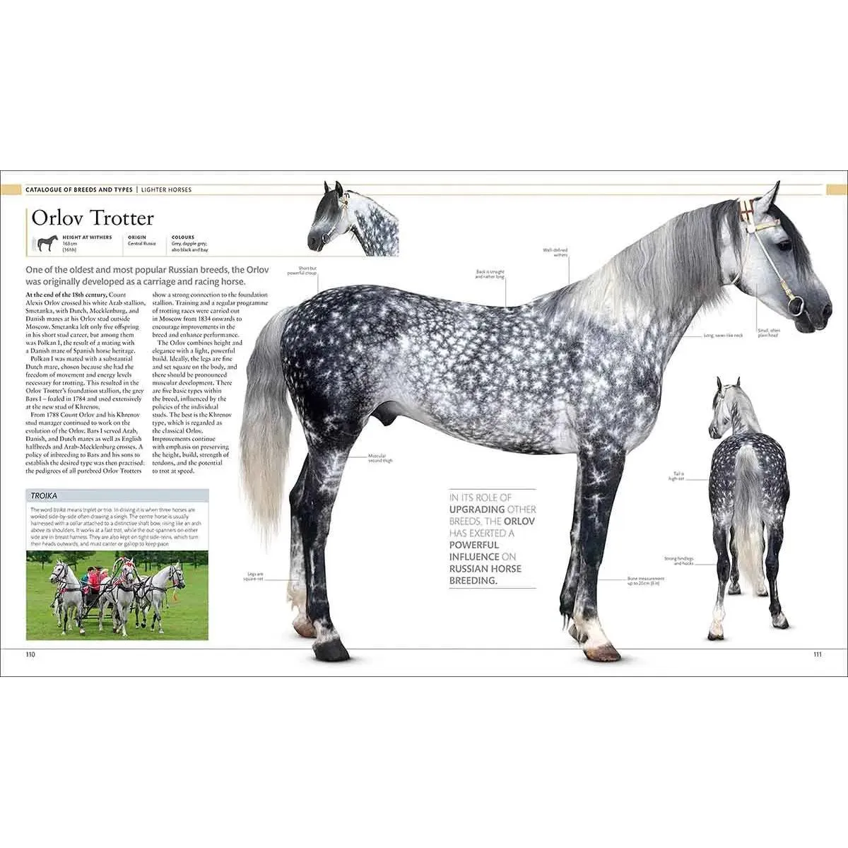 THE HORSE ENCYCLOPEDIA 