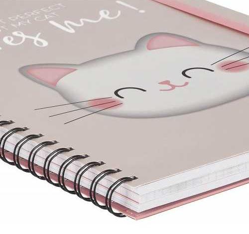 Notes sa spiralom 3 u 1 - KITTY 