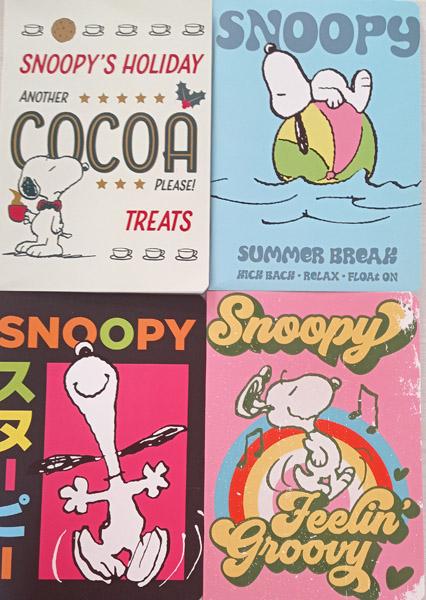 Sveska A5 DIKTO SPORTY SNOOPY  52L 