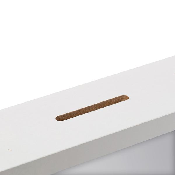 Kasica/ram za slike DINOSAURUS 