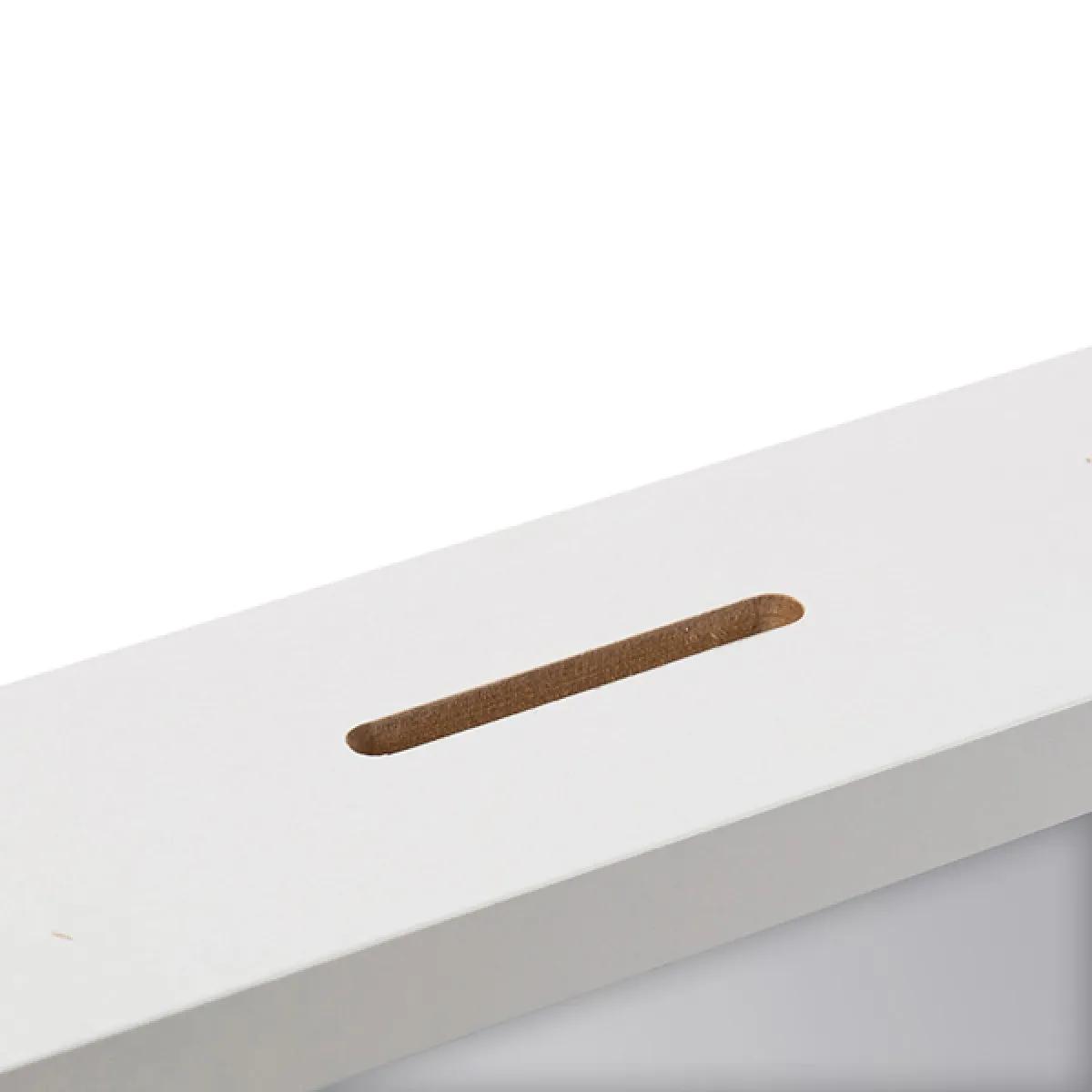 Kasica/ram za slike DINOSAURUS 