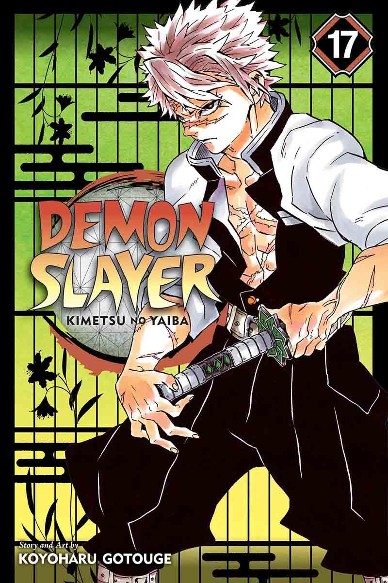 DEMON SLAYER, VOL. 17 