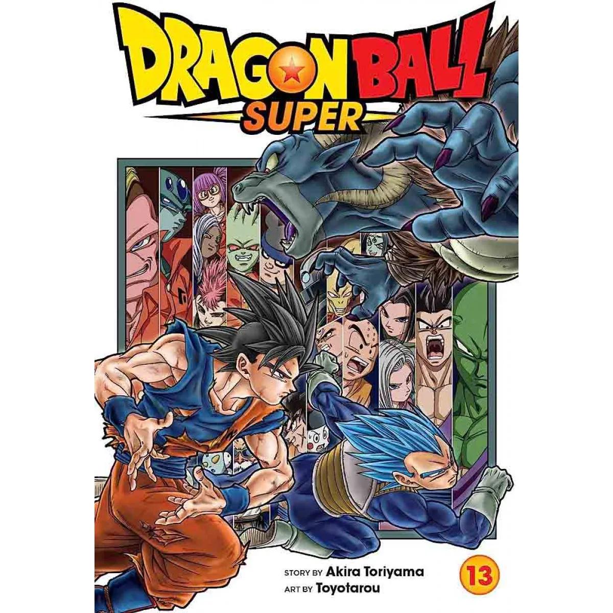 DRAGON BALL SUPER, VOL. 13 