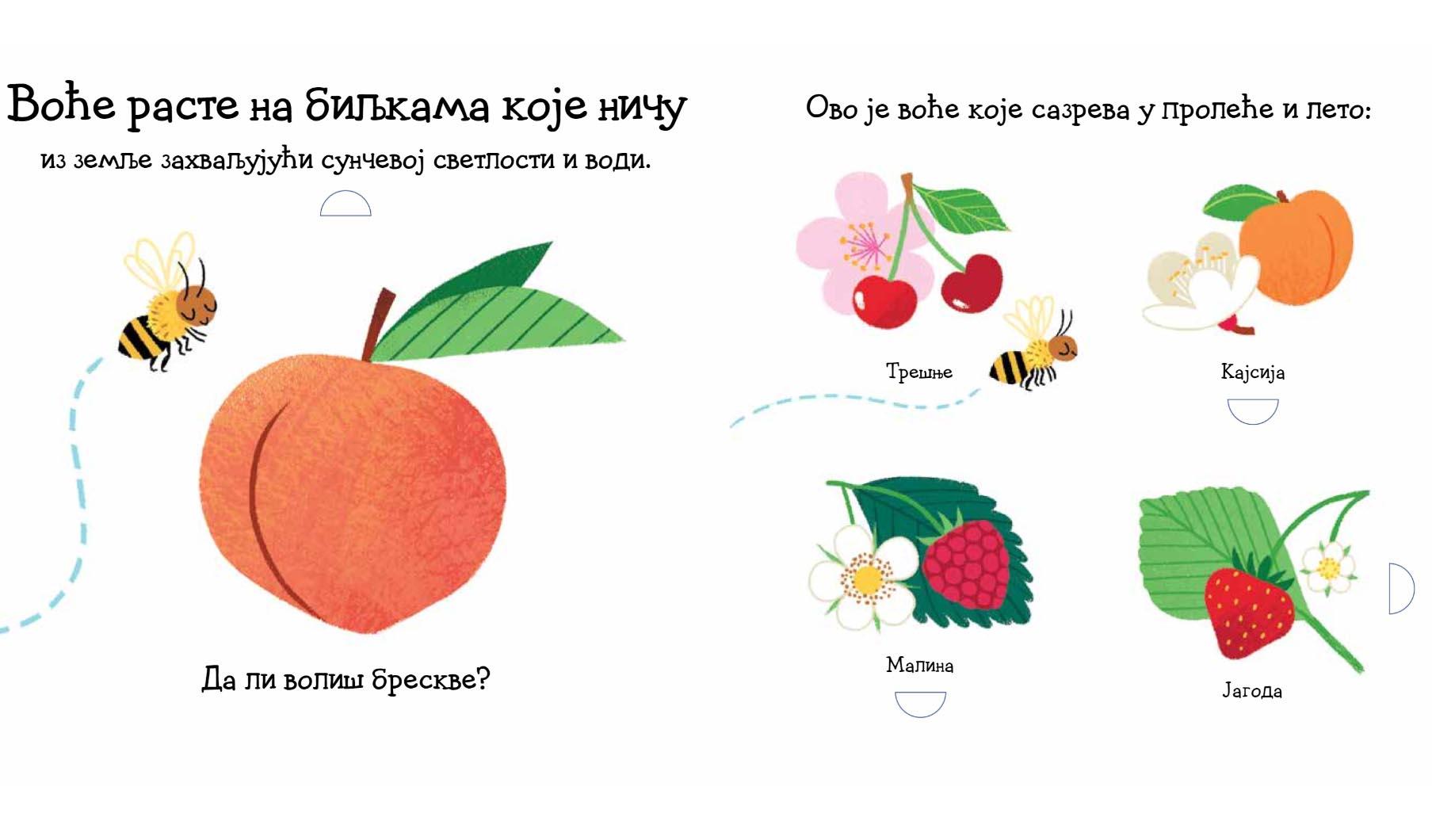 VOĆE: SLIKOVNICA S PROZORČIĆIMA I TOČKIĆIMA 