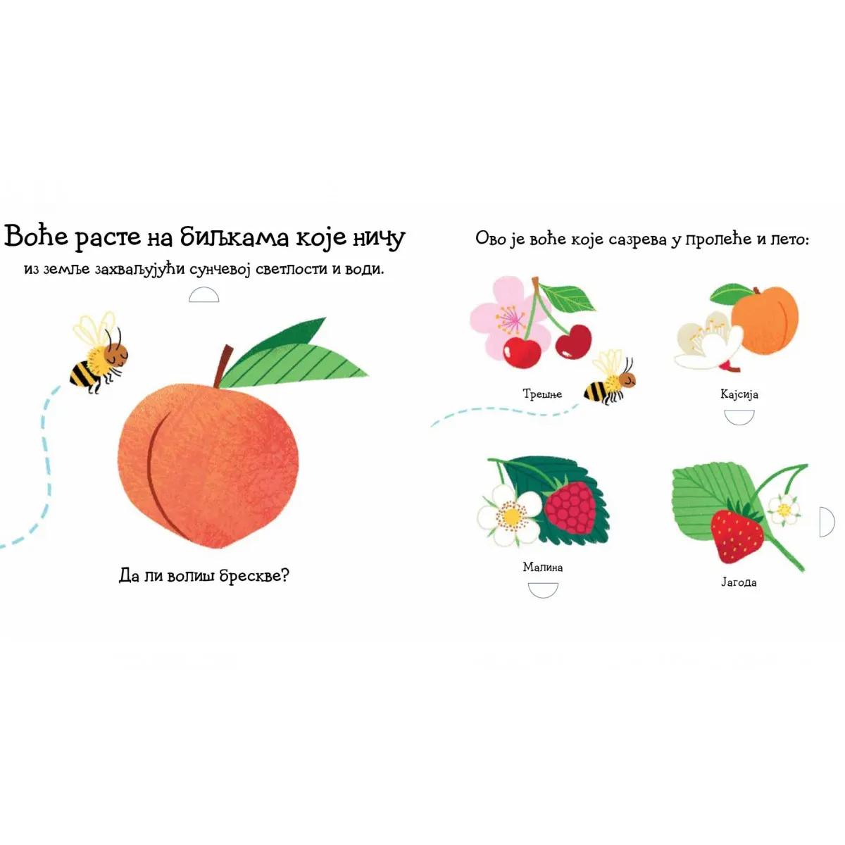 VOĆE: SLIKOVNICA S PROZORČIĆIMA I TOČKIĆIMA 