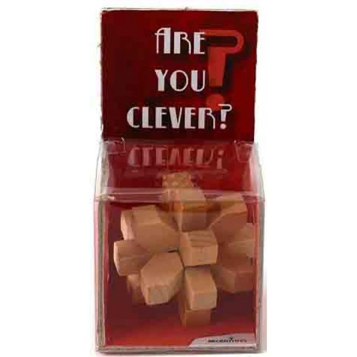 Mozgalica ARE YOU CLEVER 