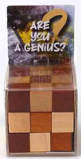 Mozgalica ARE YOU GENIUS 